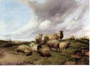 unknow artist Sheep 146 France oil painting artist